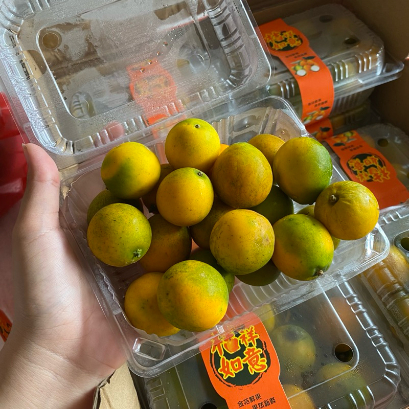 

[TERMURAH] JERUK KIMKIT PREMIUM 200-300GR | JERUK KULIT BISA DIMAKAN | JERUK KUMQUAT 300gr