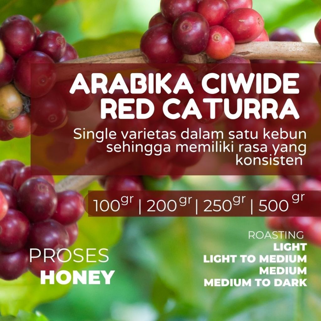 

ARABIKA RED CATURRA CIWIDE