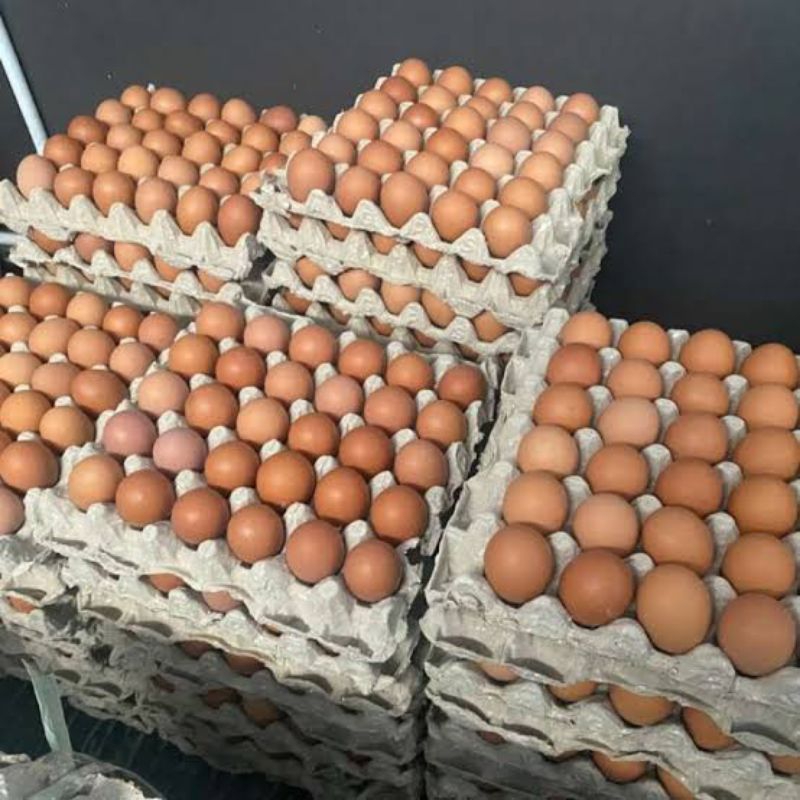 

telur ayam negeri kemasan tray 1 paket berat 10 kg promo