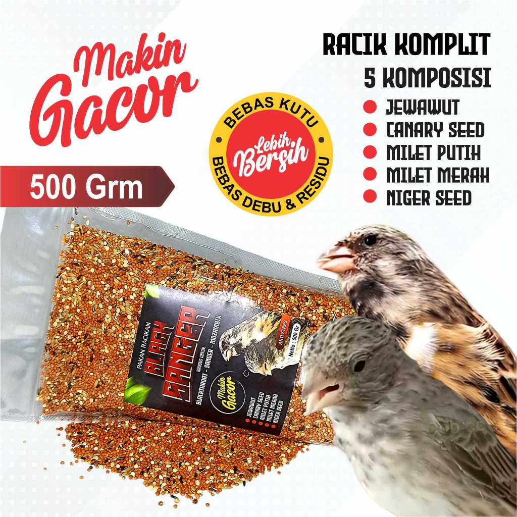 PAKAN BURUNG BLACKTHROAT SANGER DAN MOZAMBIK ISI 500 GRM CAMPURAN JEWAWUT MILET MERAH MILET PUTIH NI