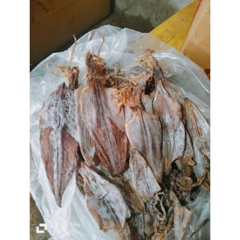 

cumi kering/sotong pangkong