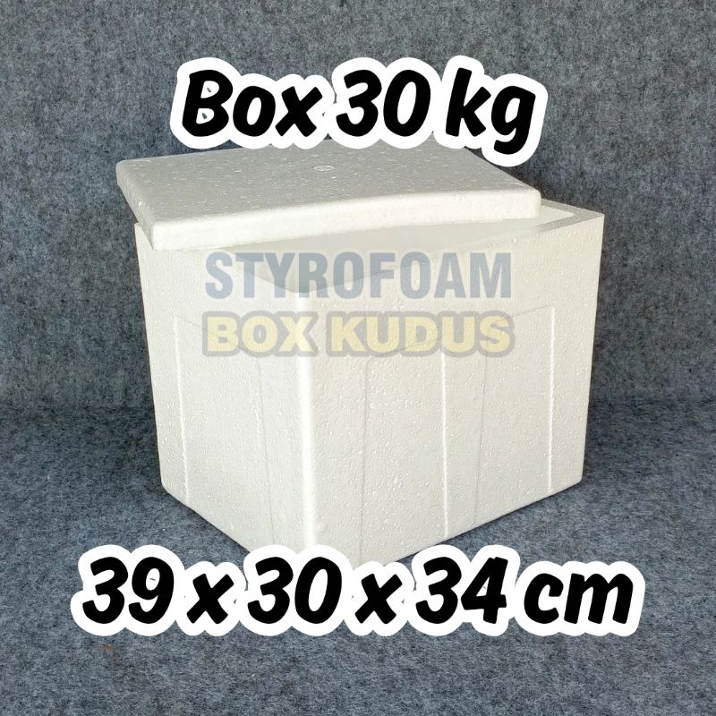 INSTANT ONLY - BOX 30 KG - Styrofoam Box Baru Penyimpanan Packing Frozen Food Box Ikan Wadah Ikan St