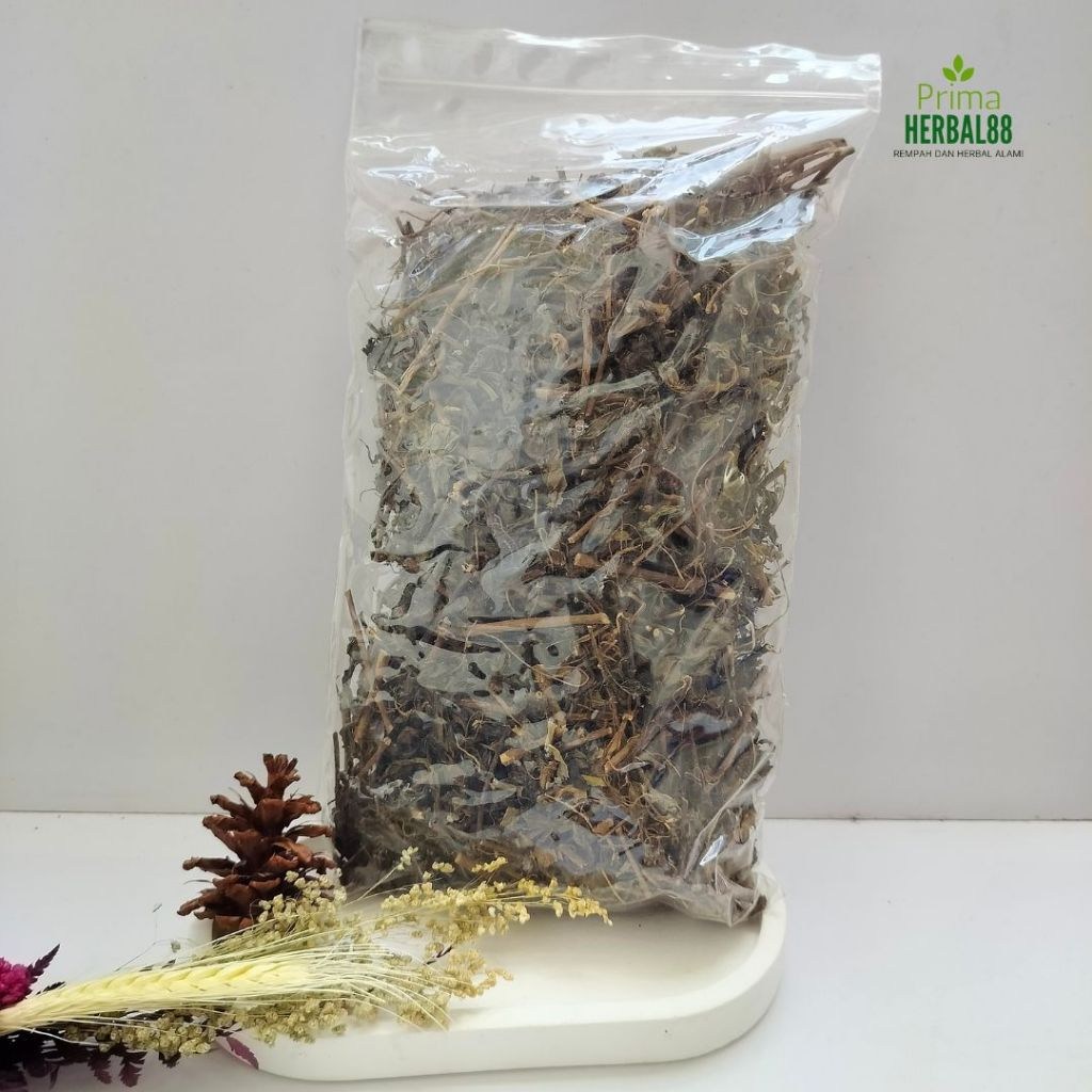 

Daun Kumis Kucing Asli Organik