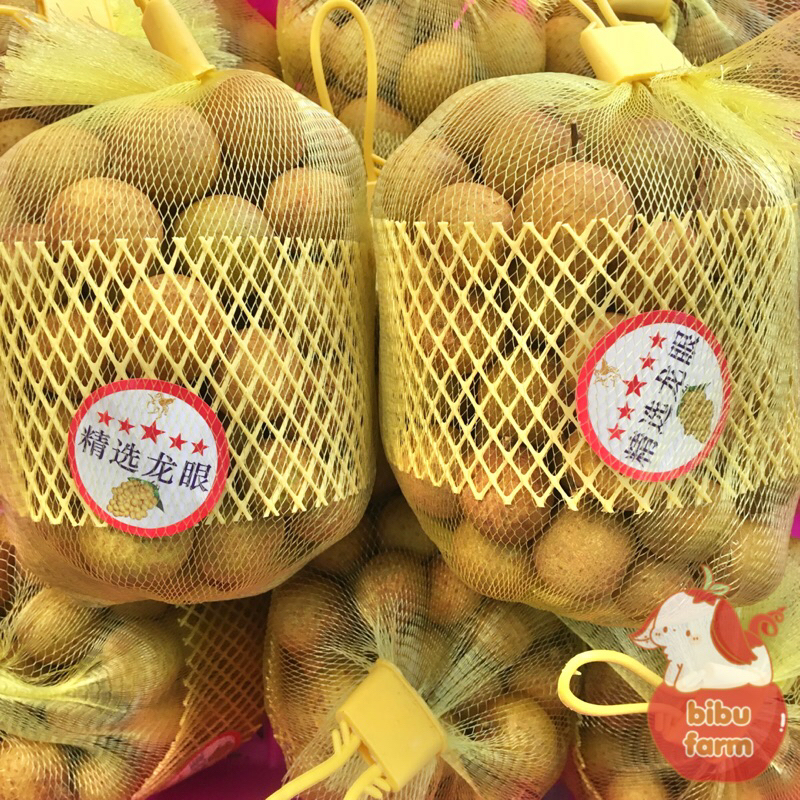 

Kelengkeng Golden Import Thailand Berat 500 Gram/Jaring