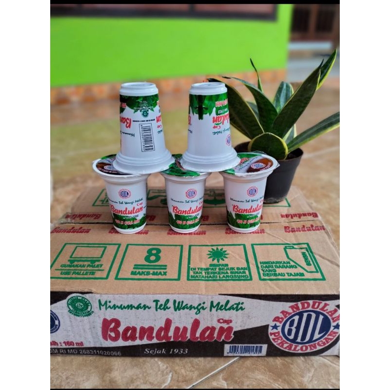 

Teh Bandulan rasa Melati isi 24 x 160ml