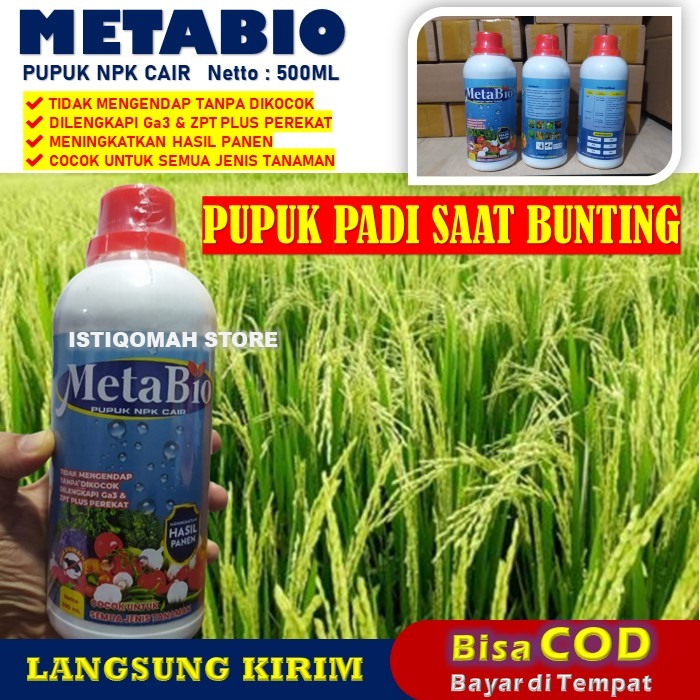 Pupuk Padi Saat Bunting METABIO isi 500ML Pupuk NPK Cair Padi Saat Berbunga - Pupuk Semprot Untuk Buah Padi - Pupuk Daun Padi Yang Bagus - Pupuk Untuk Padi Yang Baru Ditanam Anakan Padi Banyak dan Lebat - Pupuk Fase Vegetatif Padi Bagus Panen Melimpah