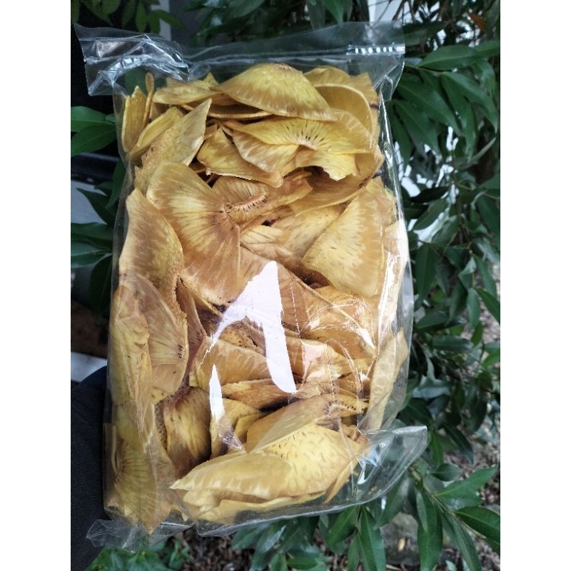 

aneka kripik
