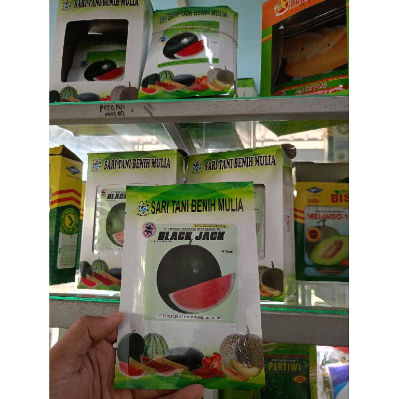 Benih Bibit Semangka Non Biji Black Jack F1 (Cocok ditanam di dataran rendah sampai menengah, Buah S