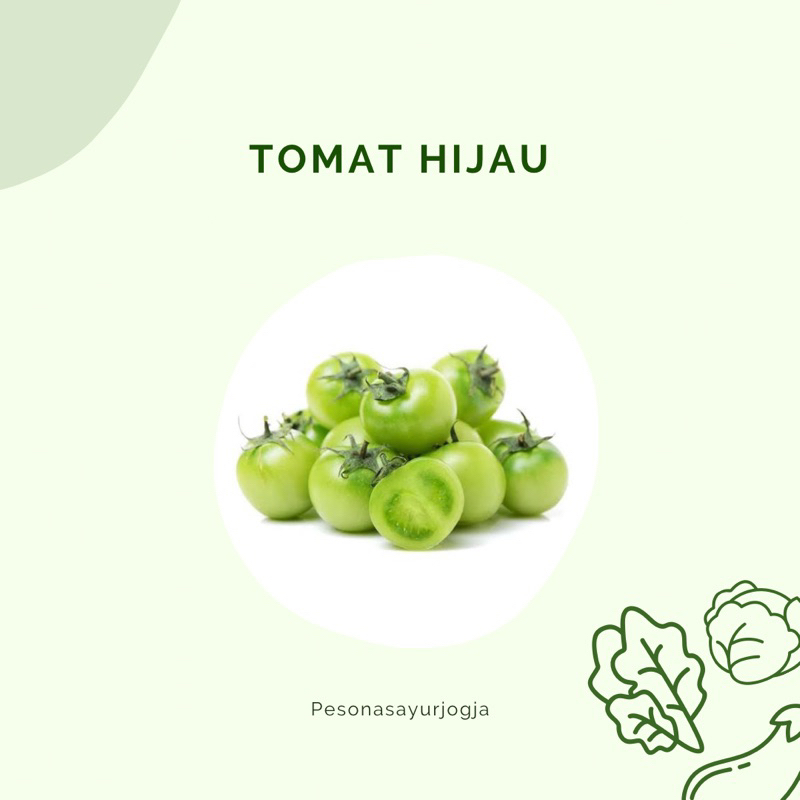 

TOMAT HIJAU