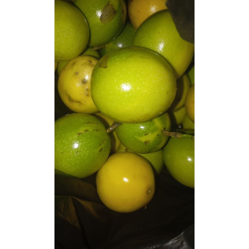 

markisa 1 kg