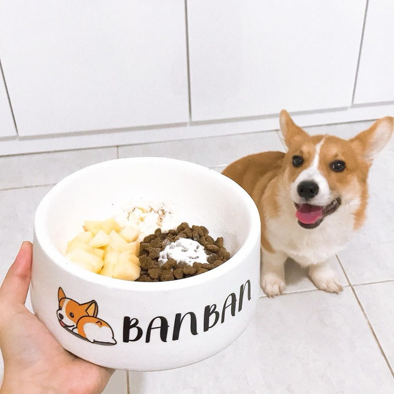 [FREE CUSTOM NAMA DAN FOTO PET] Pet Bowl / Tempat Makan dan Minum Bahan Keramik untuk Anjing/Kucing/