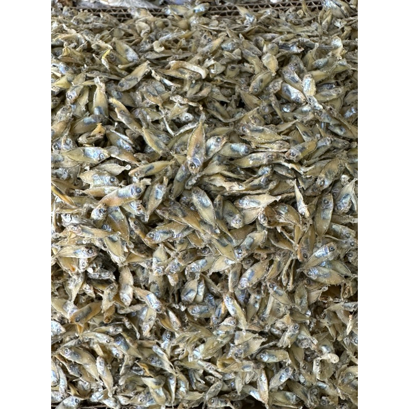 

Ikan Mercy / Tapis Garing