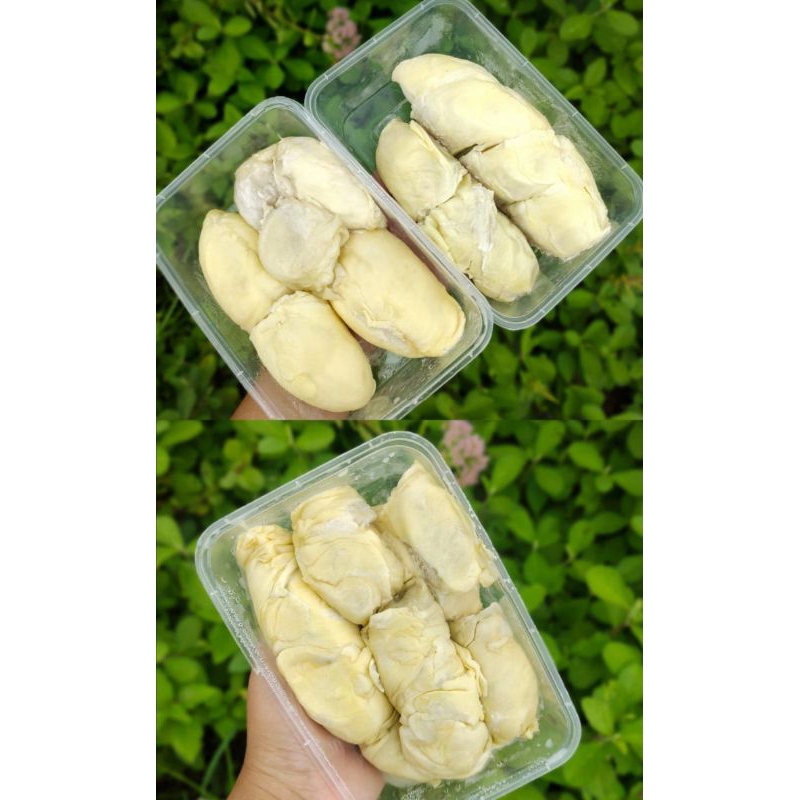 

Durian Prigi