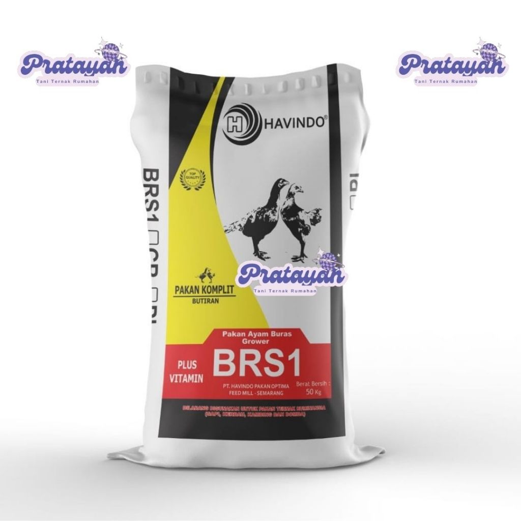 Jual Pakan Ayam Komplit Plus Vitamin BRS1 untuk Ayam BURAS 50Kg  PT. Havindo Pakan Optima Official O