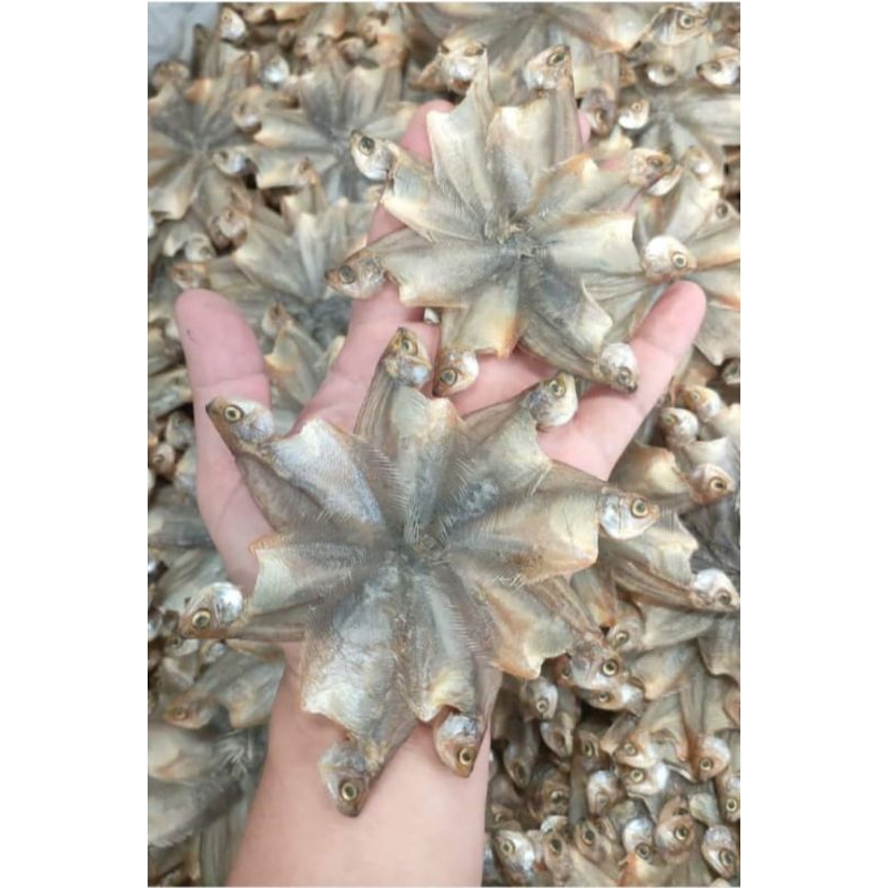 

sapat kering bintang/ ikan asin sapat