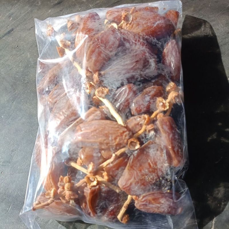 

kurma Tunisia tangkai
