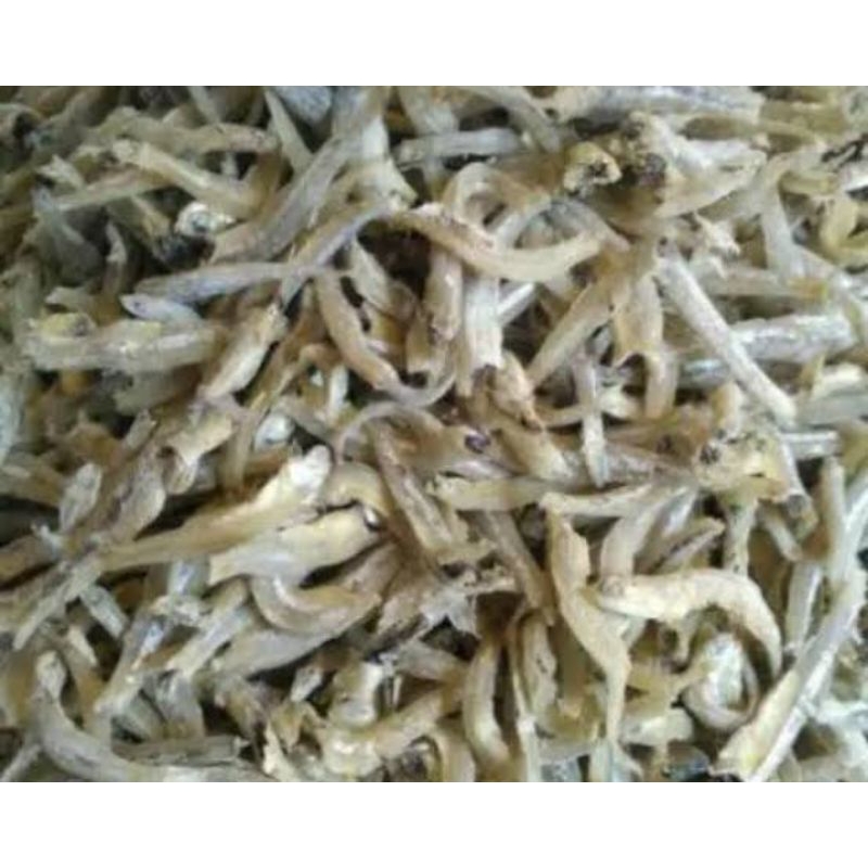 

ikan teri