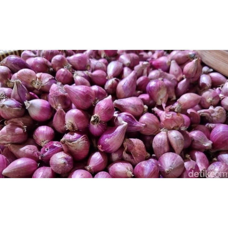 

Bawang Merah Segar Curah per 100 gr