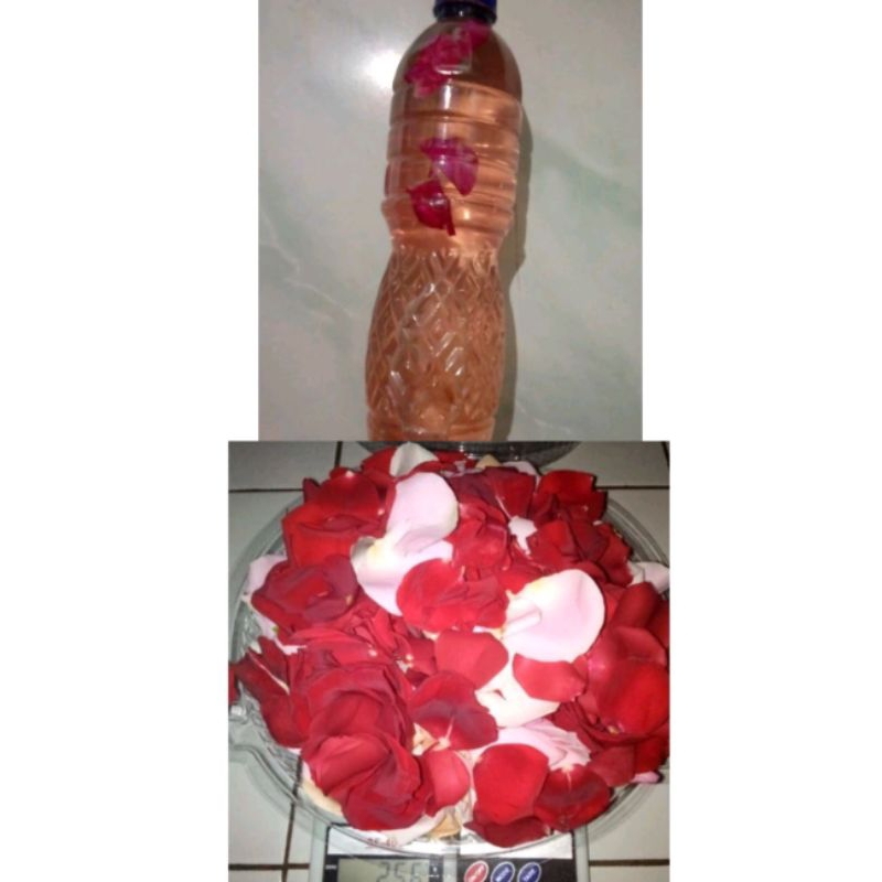 Paket untuk Ziarah makam