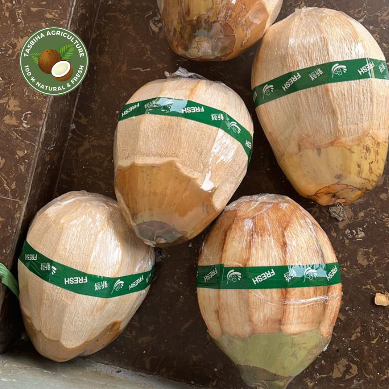 

Kelapa Kopyor ukuran kecil isi tebal