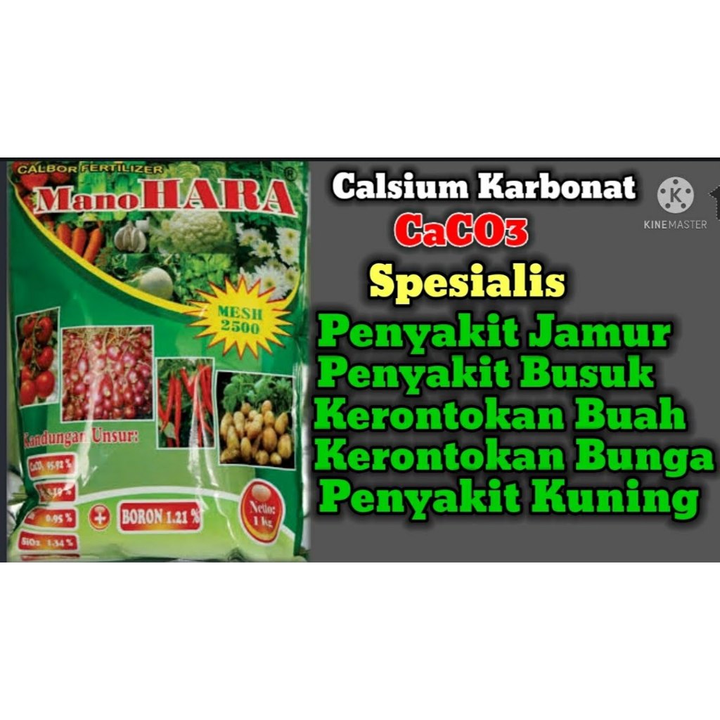 Kalsium MANOHARA 1kg