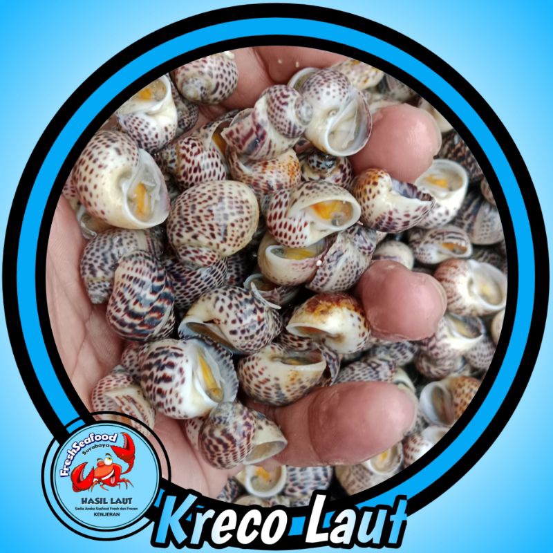 

KRECO LAUT 1kg