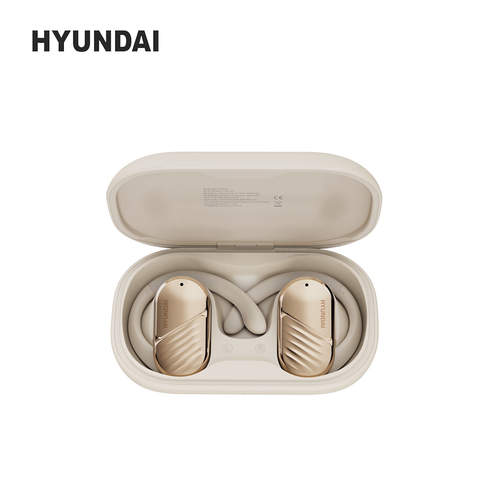 Hyundai T25 Earphone Wireless Tws Bluetooth Headset Earhook