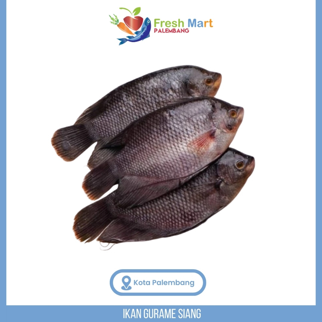 

Ikan Gurame Siang-500gram