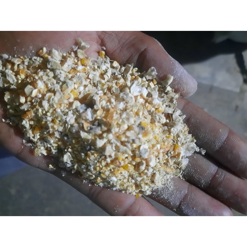 

jagung giling