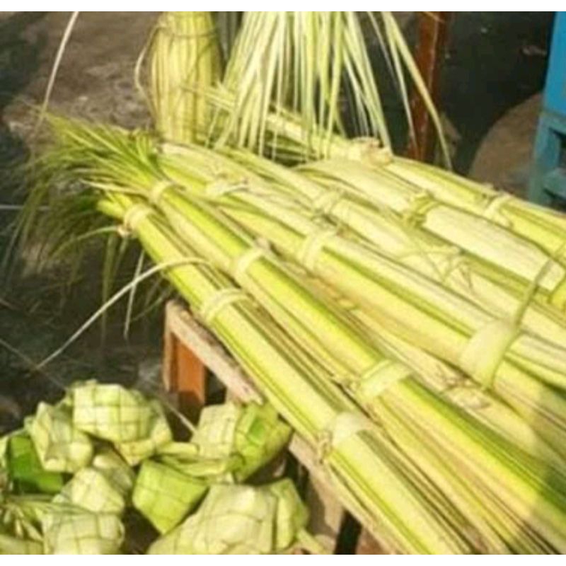 

janur atau daun kelapa muda buat bahan ketupat dan lain lain isi 15 batang 30 lembar daun