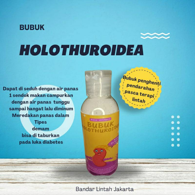 Holothuroidea serbuk/bubuk teripang