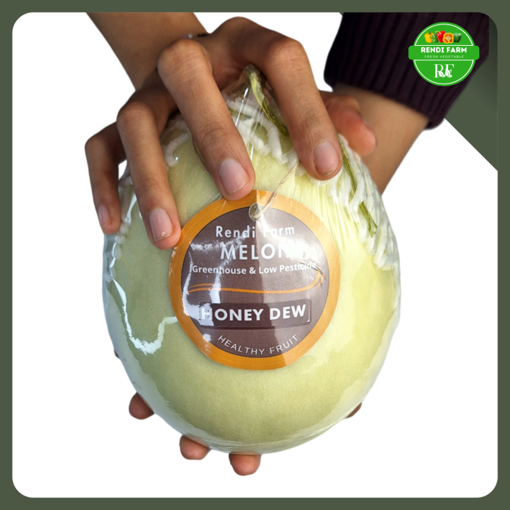 

MELON HONEYDEW/MELON MANIS/BUAH MELON/MELON HIJAU