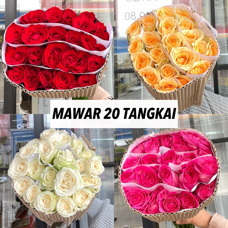 (20 Tangkai) MAWAR Bunga SEGAR / Bunga ASLI