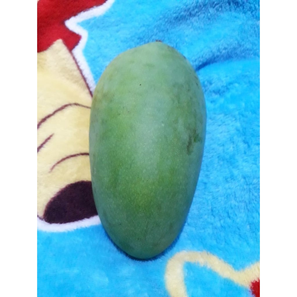 

Buah Mangga Harum Manis