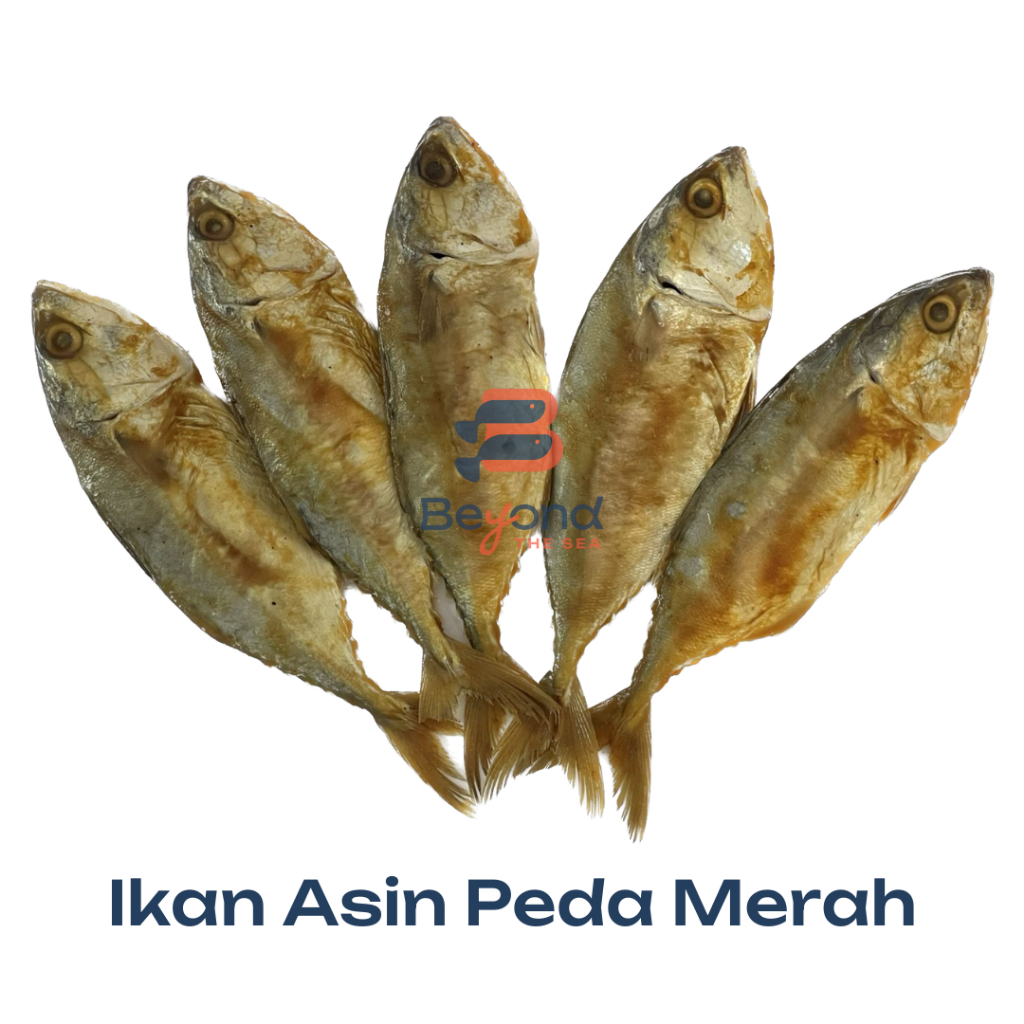 

Ikan Asin Peda Merah/Kembung Merah 5 Ekor | beyondthesea