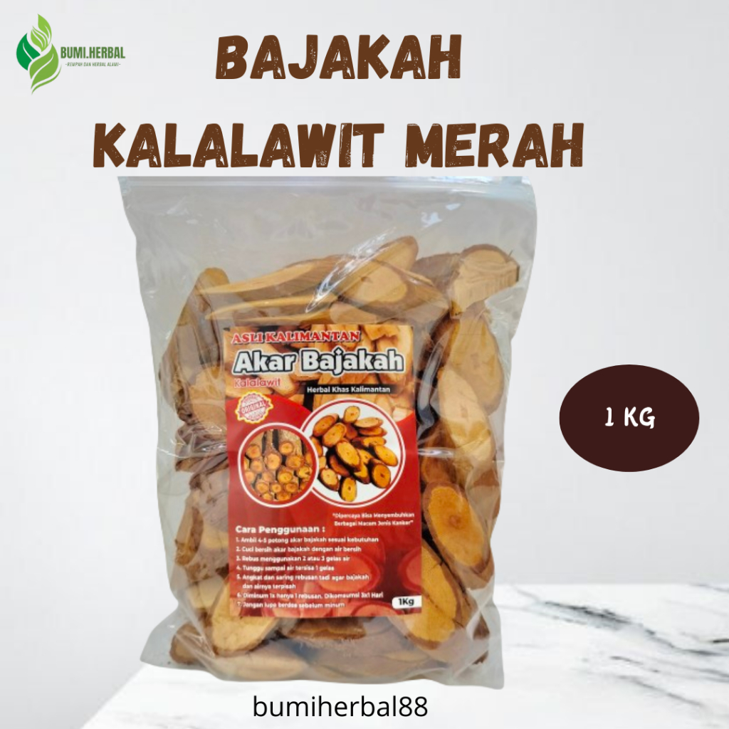 

Akar Bajakah Kalawit Merah Asli Kalimantan