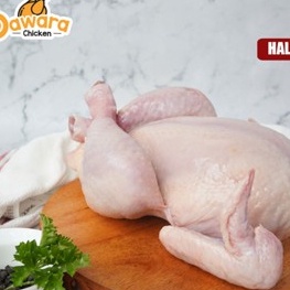 

STOK SIAP COD Ayam Utuh 89 KgEkor