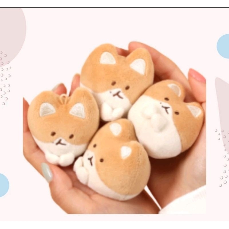 Teolaegi MD by Baekhyun (Mini ottugi doll) keyring only
