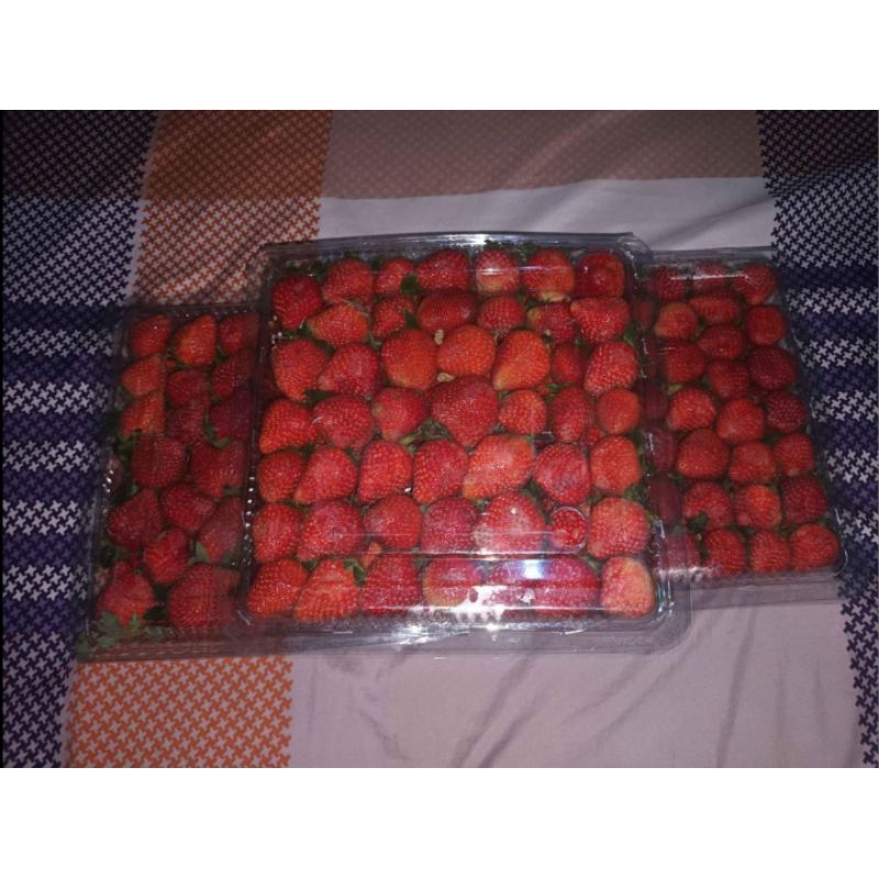 

STRAWBERRY FRESH ±1KG