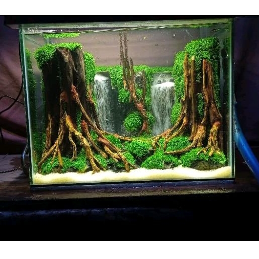 hardscape waterfall jungle 40cm