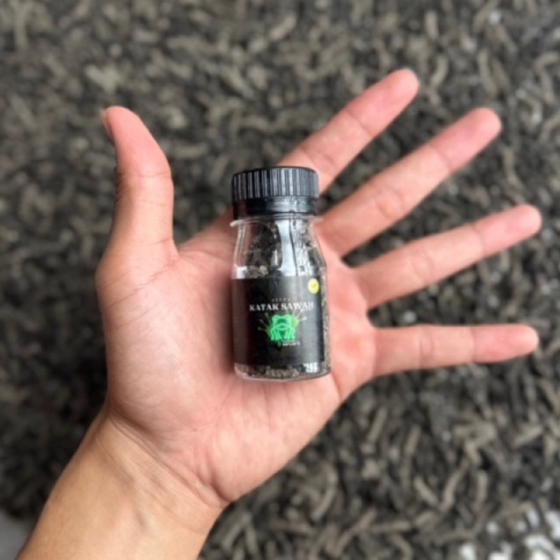 PELET KATAK SAWAH BY ELFAD 100% full katak sawah