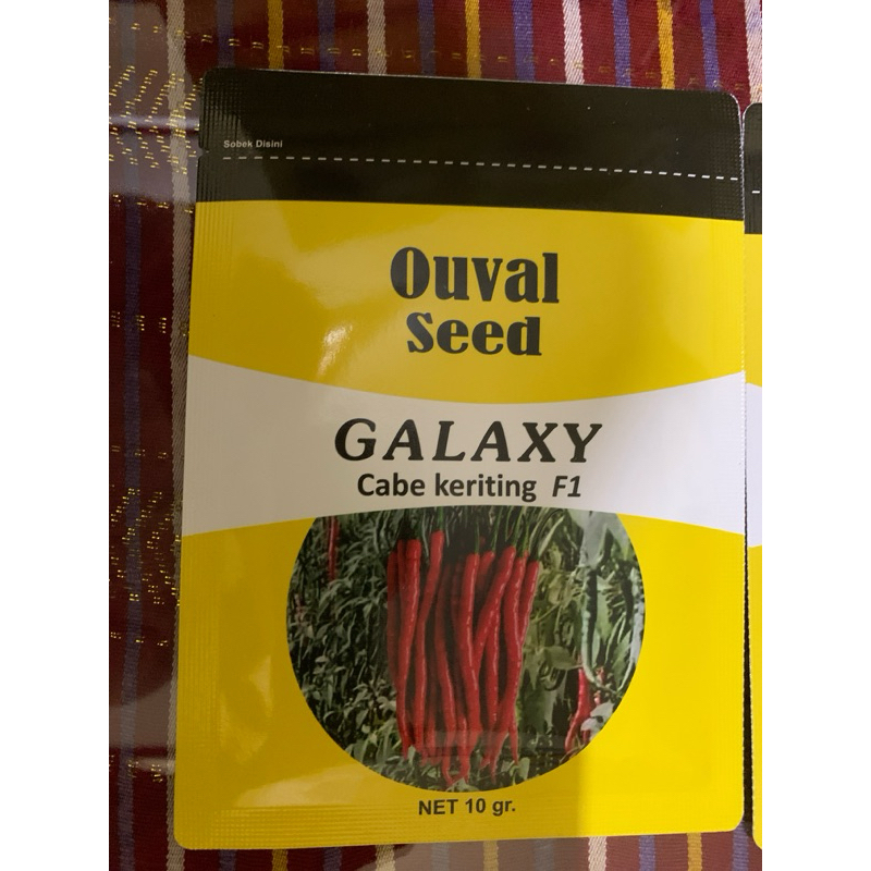 benih cabe keriting GALAXY F1