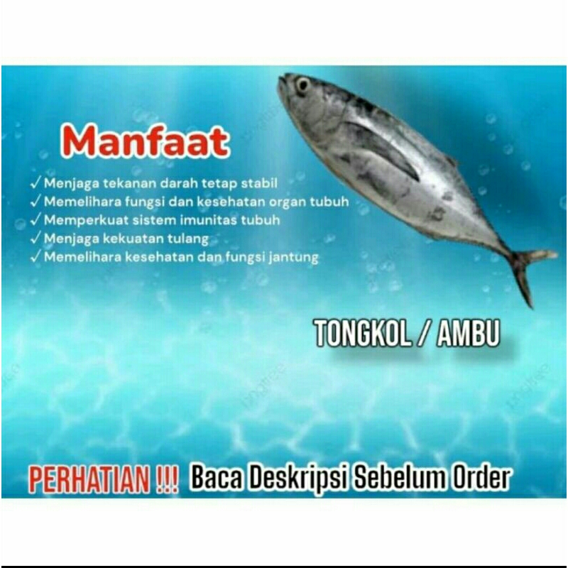 

ikan tongkol