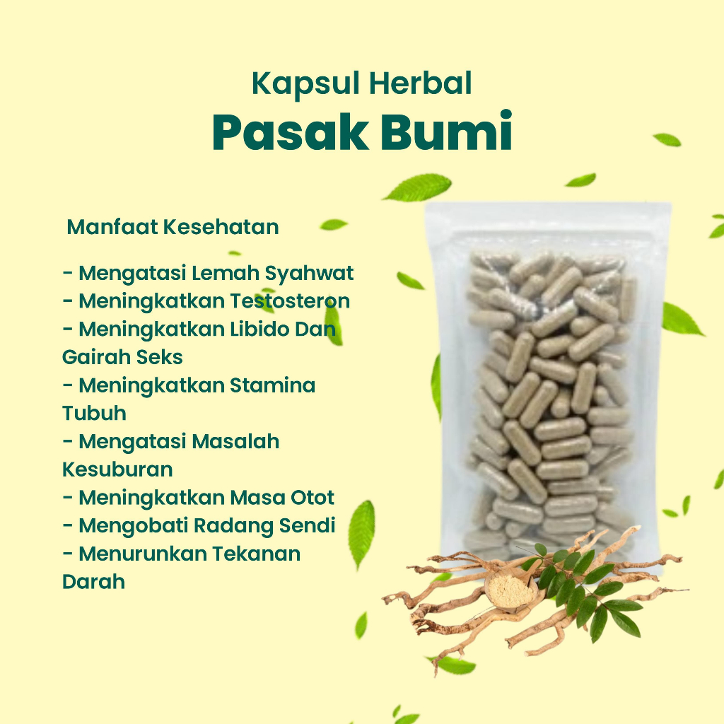 Kapsul PASAK BUMI ASLI, kemasan heamat isi 100 kapsul