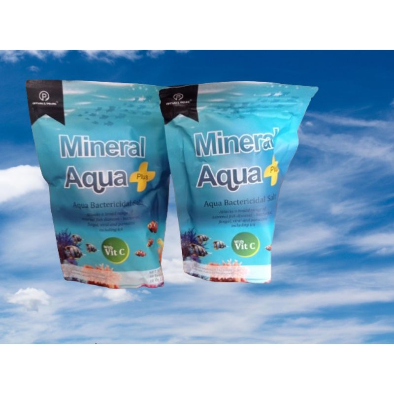 MINERAL AQUA PLUS - Garam Tablet dengan vitamin C Garam Ikan 1 Tablet