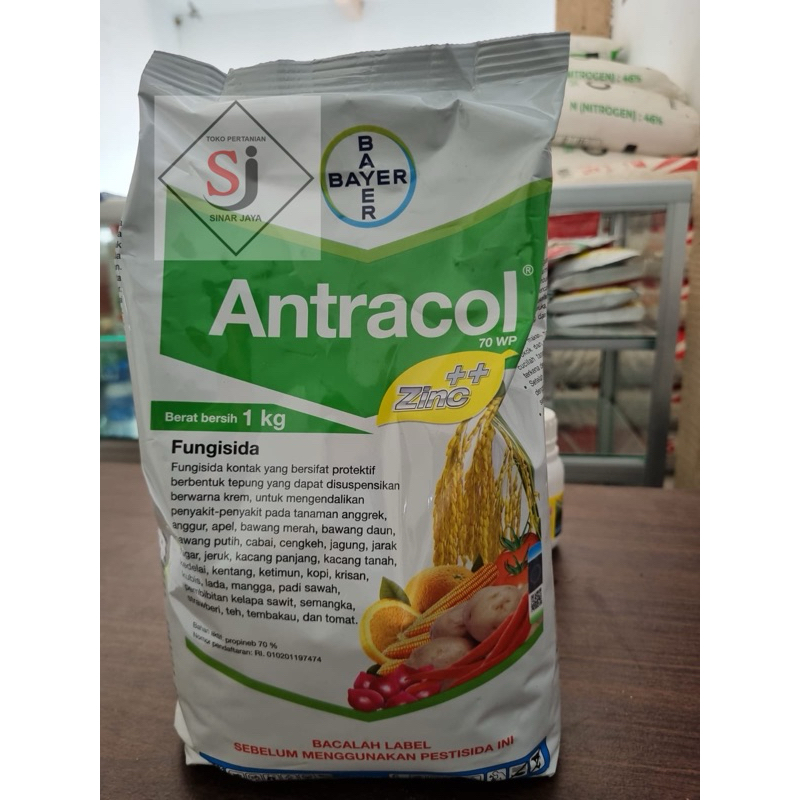 Antracol 70WP  1KG