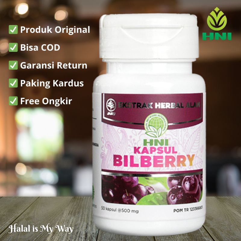 BILBERRY HNI HPAI Memelihara Kesehatan Mata Tubuh