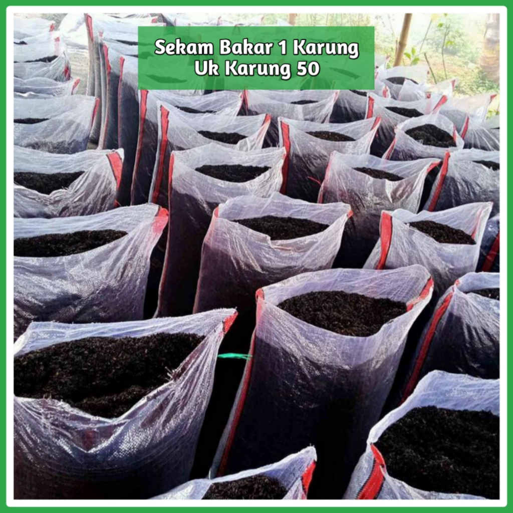 Sekam Bakar Karungan 50 - Sekam Bakar Media Tanam 1 Karung