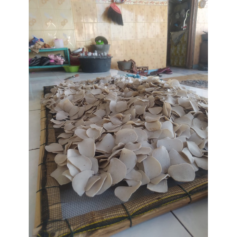 

Krupuk ikan Jenggelek Khas Gili Ketapang