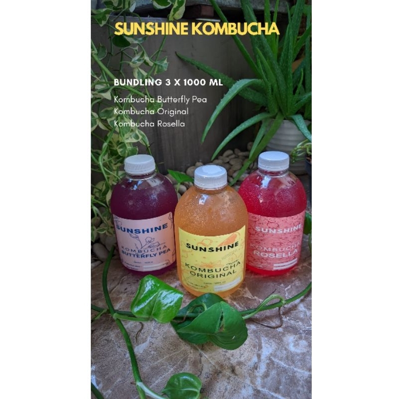 

Paket Family Sunshine kombucha 3 x 1000 ml